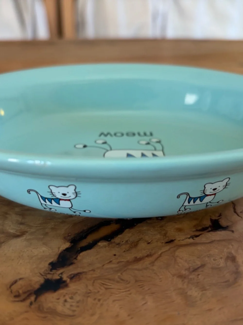 🐱 Whisker City “Meow” Cat Dish Bowl | Aqua Blue Ceramic Pet Bowl 🩵💚